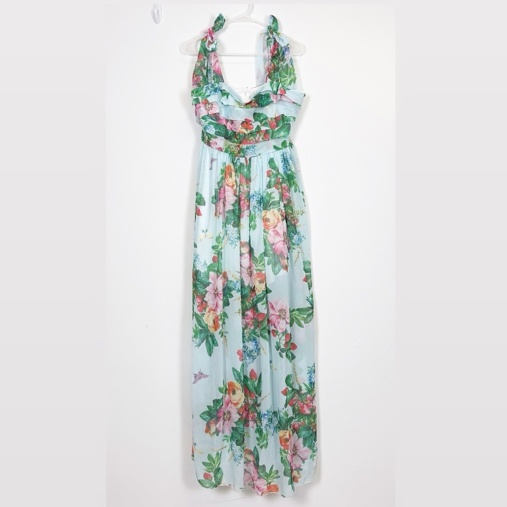Rosa Clothing Dress Womens XL Blue Berry Fruit Sleeveless Maxi Tie Straps NWT